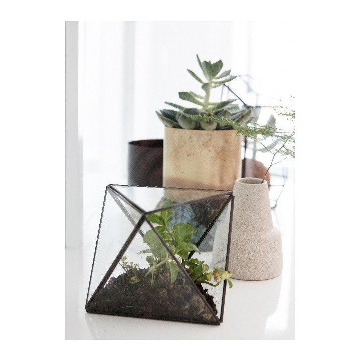 Terrario de cristal y latón pequeño